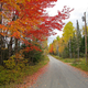 Otoño en Maine. Wikimedia Commons